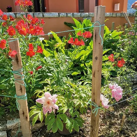 Lucia Pensiune Mundanije