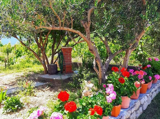 Lucia Guest house